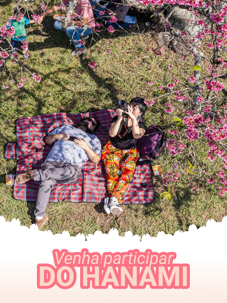 Foto de visitantes contemplando as cerejeiras em flor no Parque Bunkyo – prática do Hanami