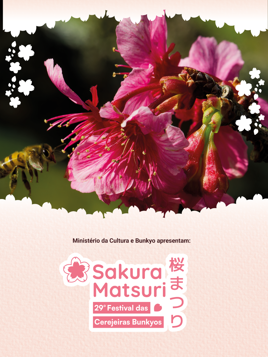 Imagem principal do festival – cerejeiras em flor no Parque Bunkyo